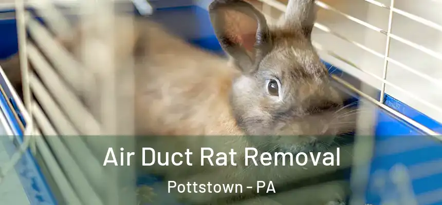 Air Duct Rat Removal Pottstown - PA