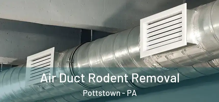  Air Duct Rodent Removal Pottstown - PA