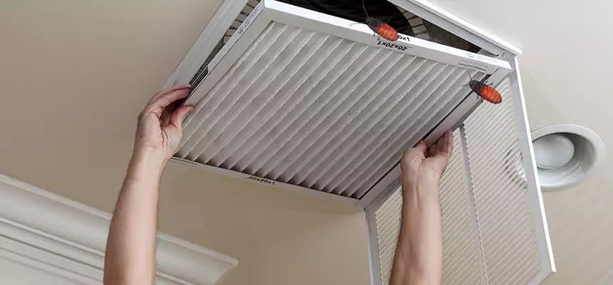 Preventive Cockroach-Proofing for Ducts in Pottstown