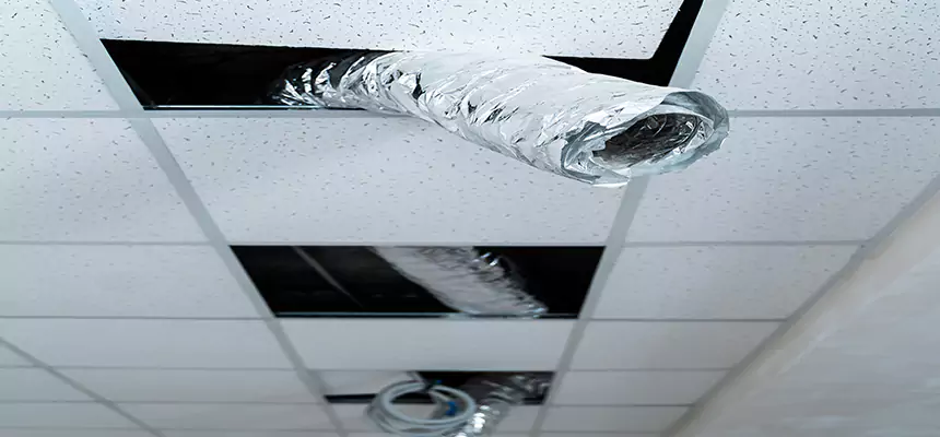 Affordable HVAC Sanitizing After Pest Removal in Pottstown