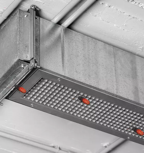 About Air Duct Cockroach Removal in Pottstown, PA