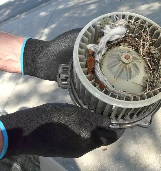 About Air Duct Mice Removal in Pottstown, PA