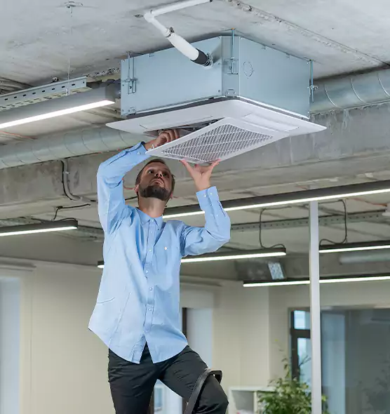Advanced Rodent Droppings In Vents in Pottstown, PA