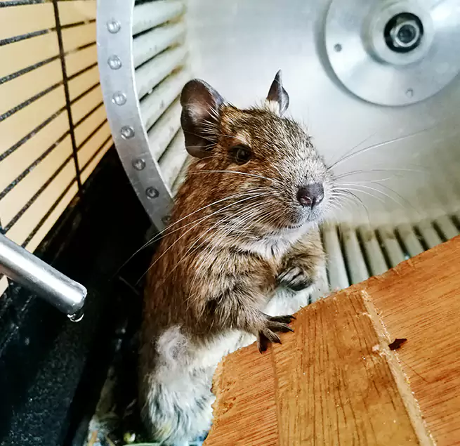 Why Homeowners & Businesses Trust Us Pottstown, PA